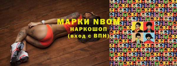 ПСИЛОЦИБИНОВЫЕ ГРИБЫ Гусев