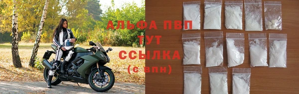 ПСИЛОЦИБИНОВЫЕ ГРИБЫ Гусев