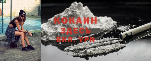 ПСИЛОЦИБИНОВЫЕ ГРИБЫ Гусев