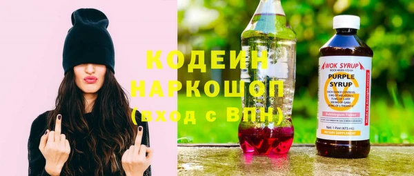 ПСИЛОЦИБИНОВЫЕ ГРИБЫ Гусев