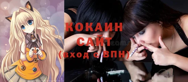 ПСИЛОЦИБИНОВЫЕ ГРИБЫ Гусев