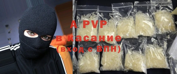 ПСИЛОЦИБИНОВЫЕ ГРИБЫ Гусев