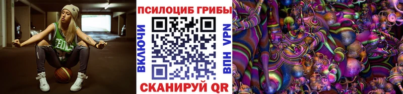 Купить закладки  Перевоз  Галлюциногенные грибы MAGIC MUSHROOMS 