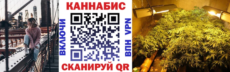 Купить где Перевоз Каннабис OG Kush